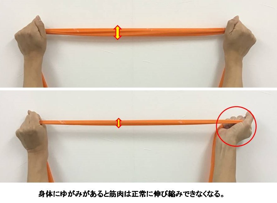 ゴムチューブによるゆがみの説明